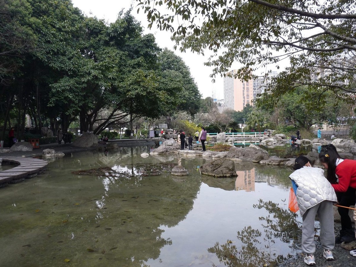 春天杂拍——FZ28仍然不老