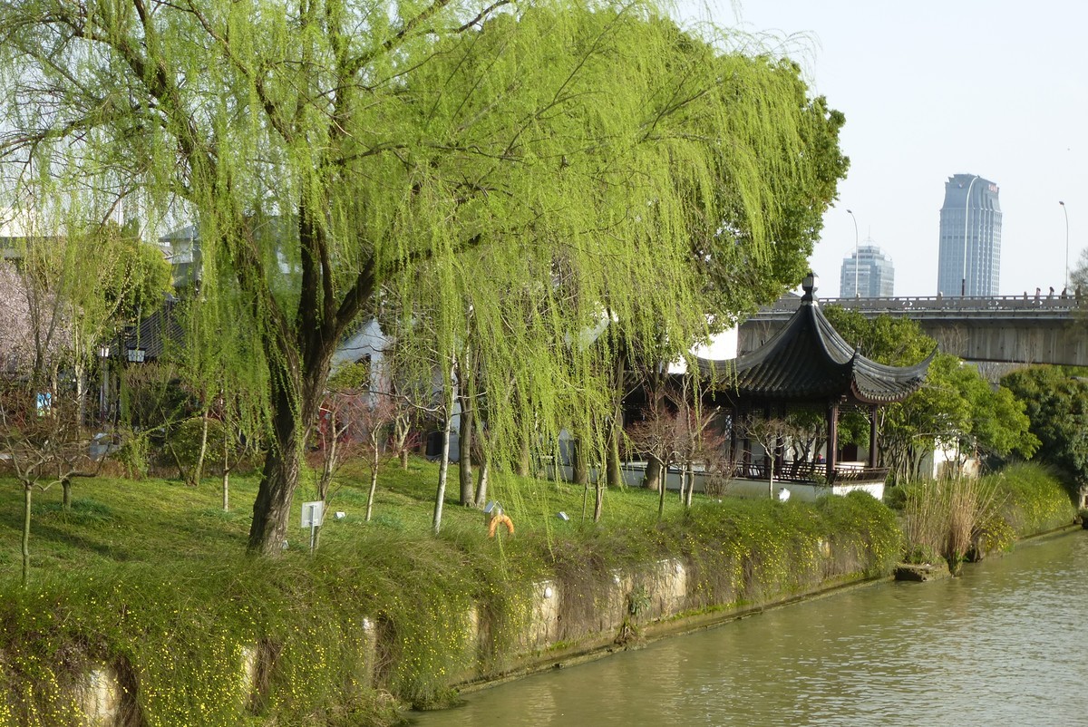 江南行之苏州篇-姑苏古城掠影（6）