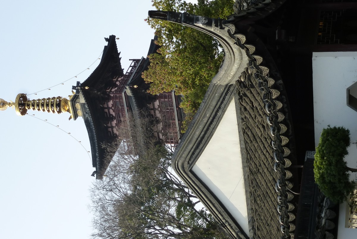 江南行之苏州篇-姑苏古城掠影（6）