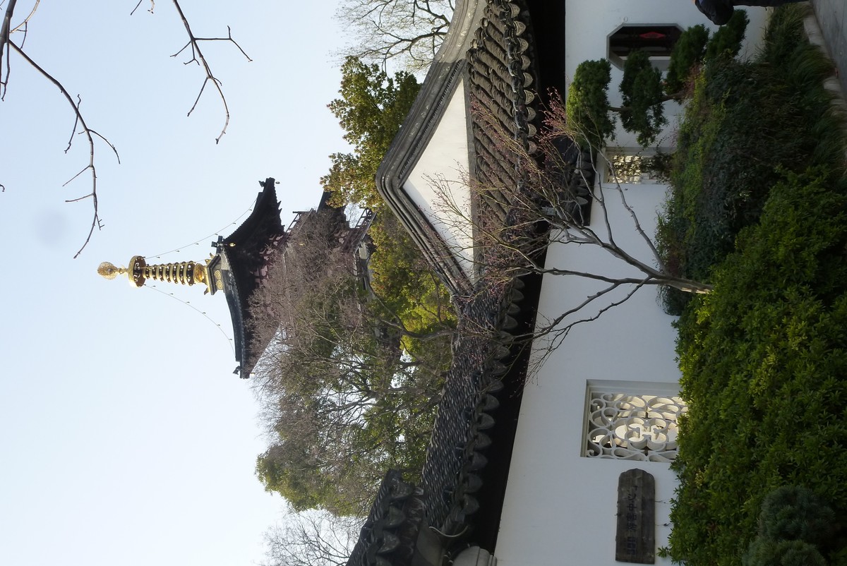 江南行之苏州篇-姑苏古城掠影（6）