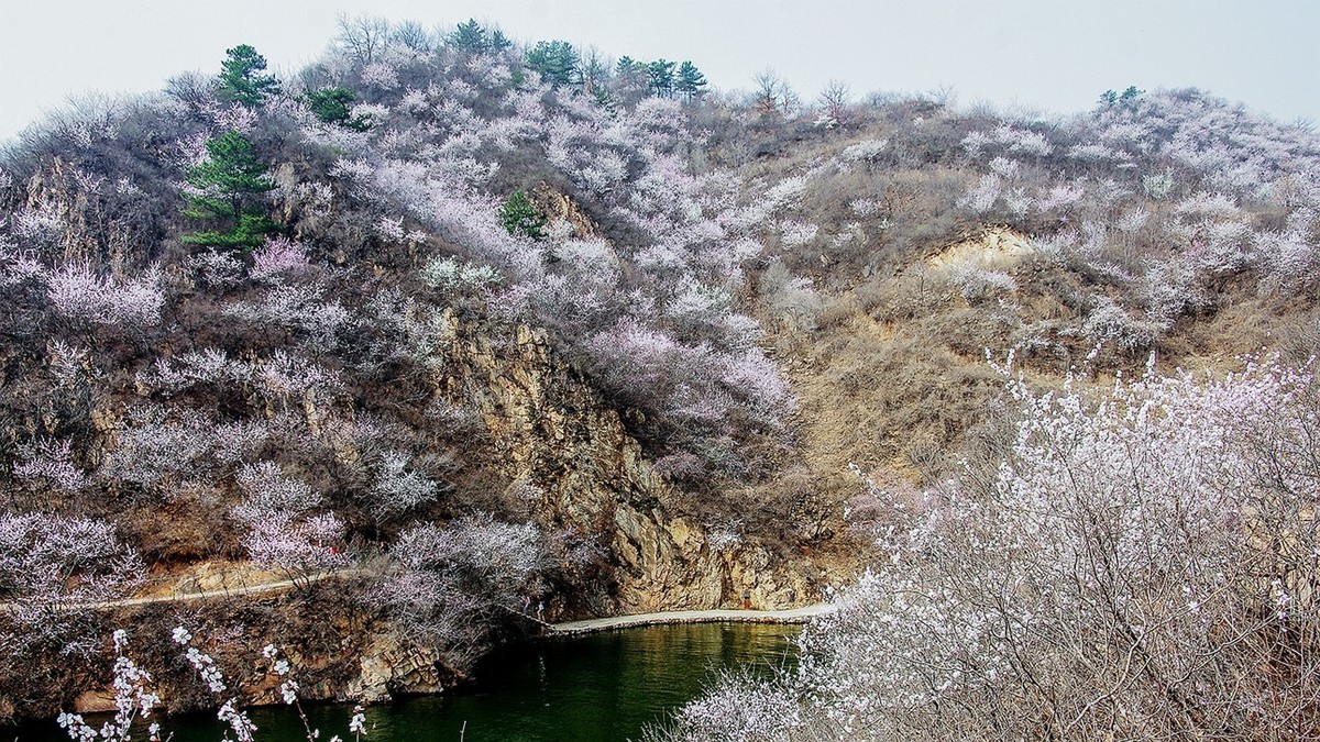 黄花城水长城初春 三