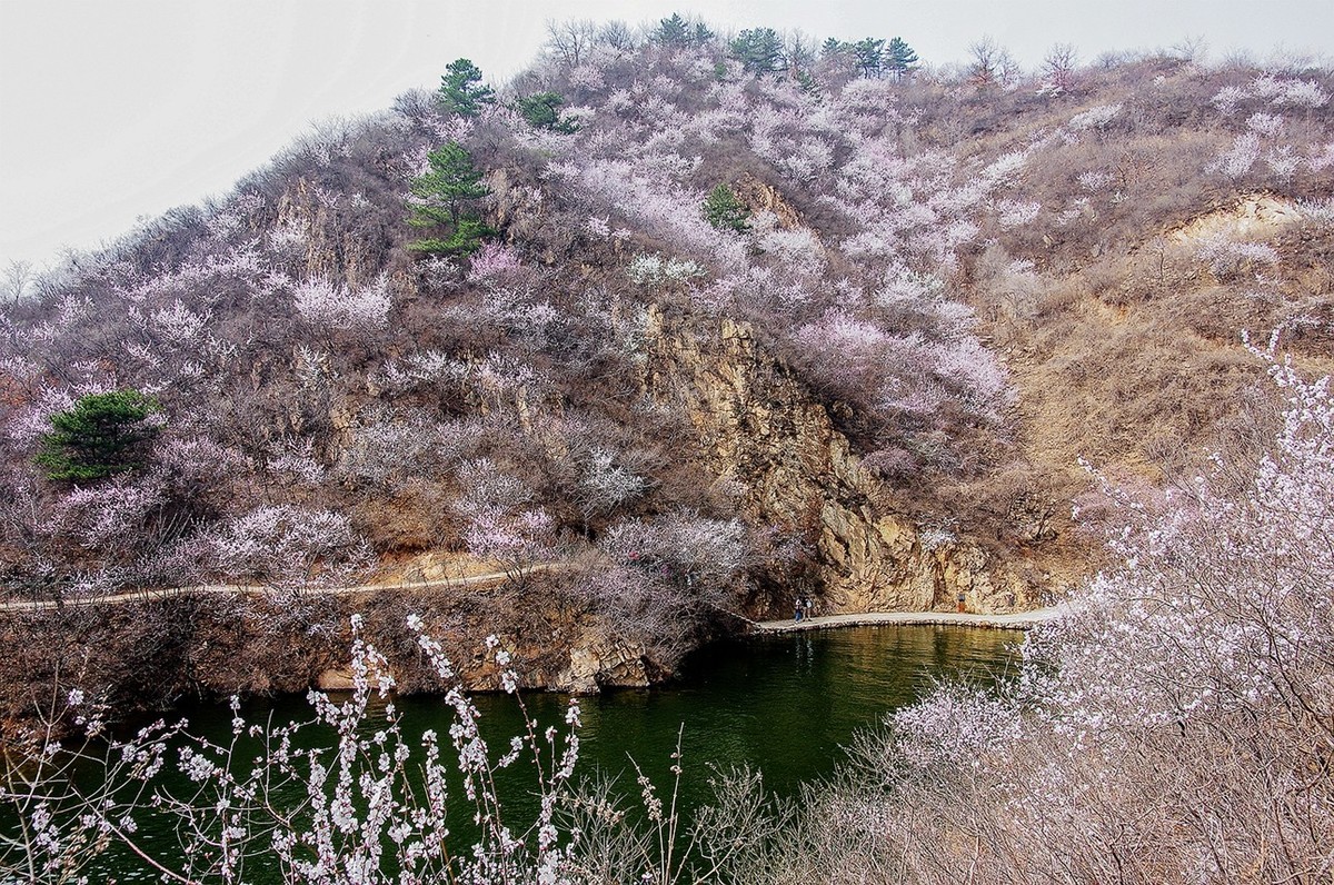 黄花城水长城初春 三