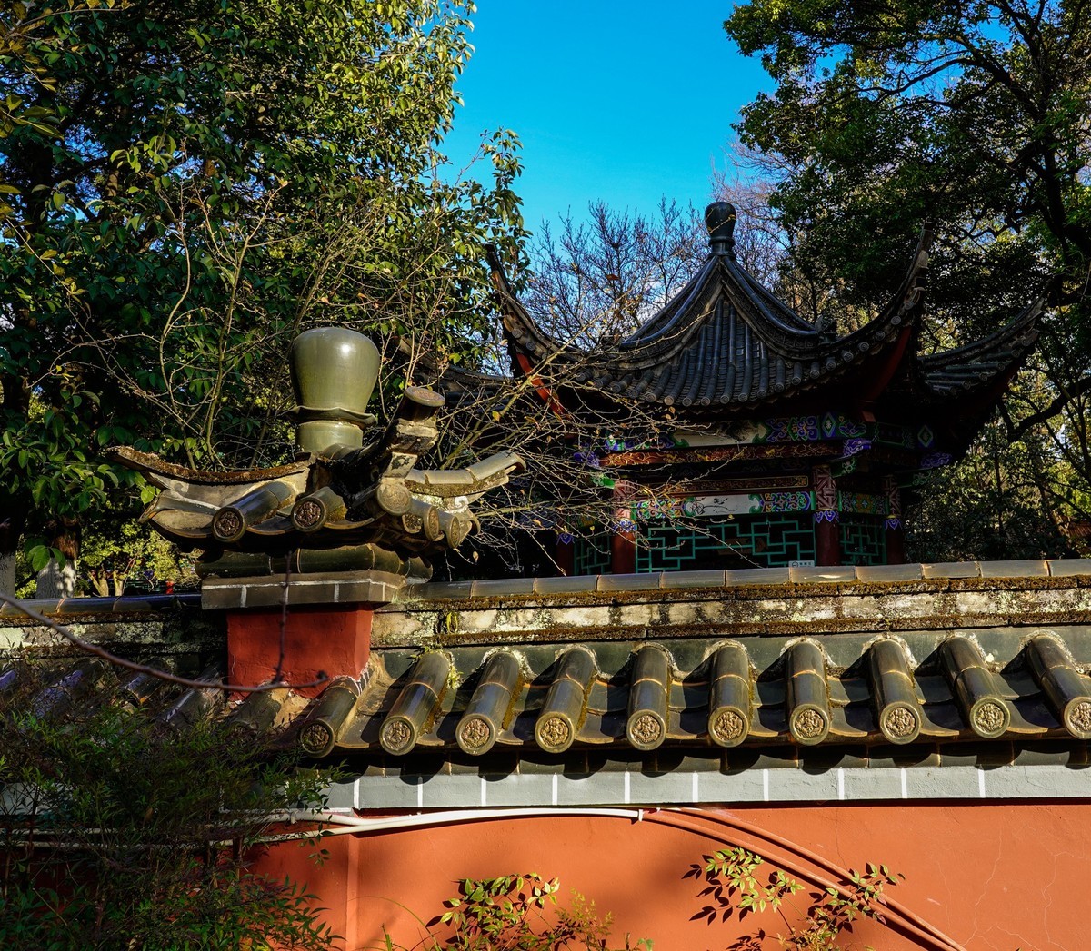 又拍黑龙潭公园（续完）