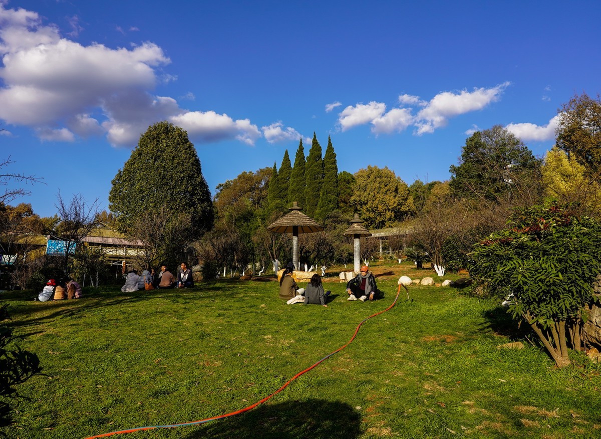 又拍黑龙潭公园（续完）