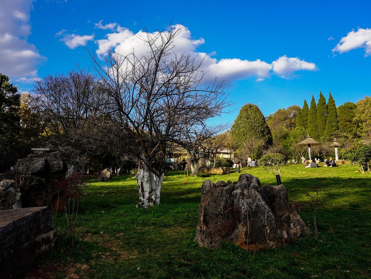 又拍黑龙潭公园（续完）