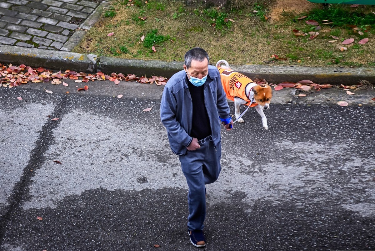 小区隔离时无聊随拍