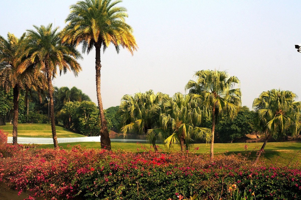 中山——三角镇：迪茵湖花园度假村（完）