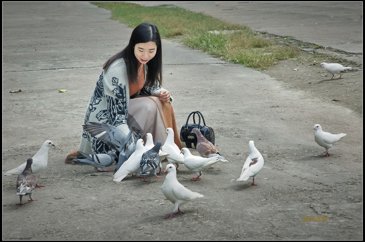 【高清图】女孩和鸽子-中关村在线摄影论坛