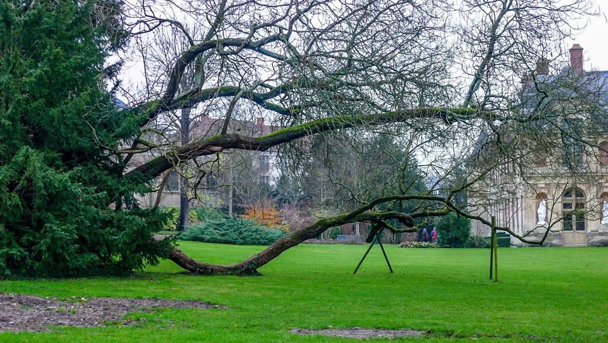 皇家行宫“枫丹白露”（巴黎）