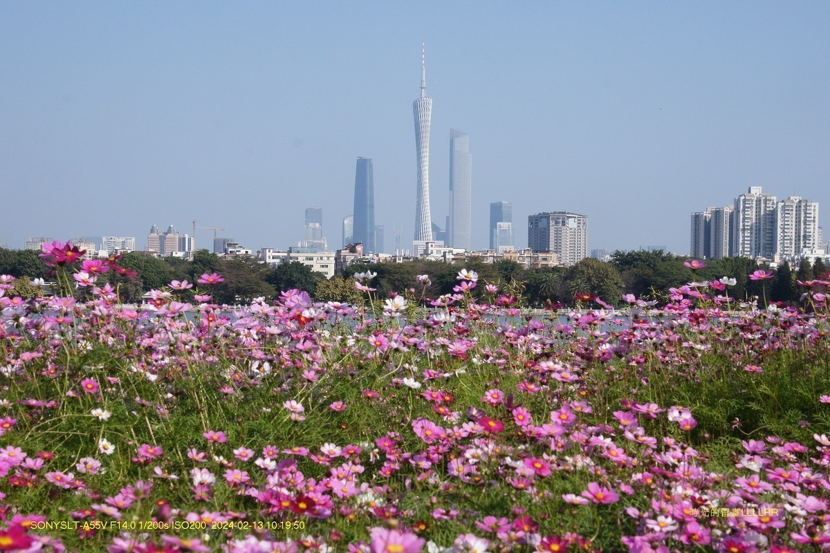 #版主坐堂#索尼大版星空(中国)2024年 4 月份优秀作品精选汇总