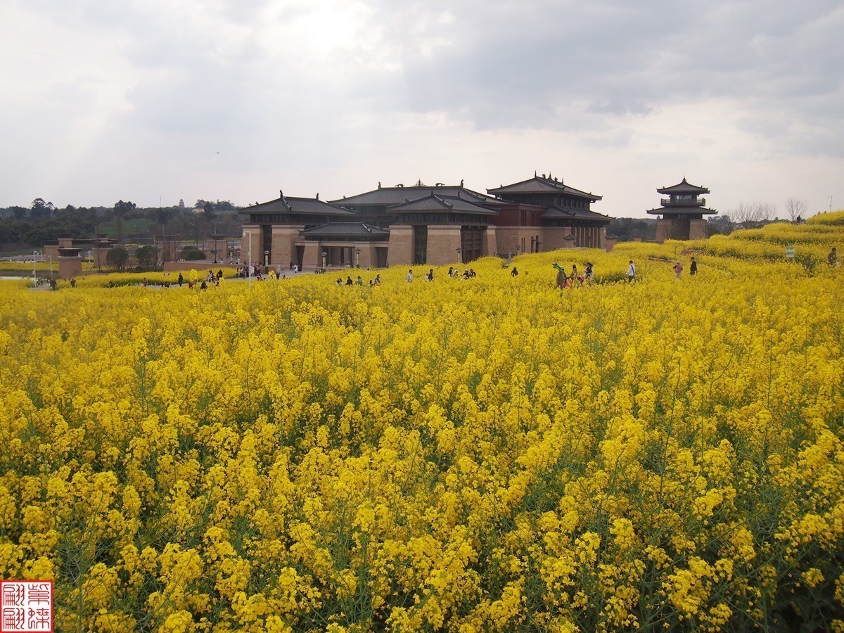 #版主坐堂#索尼大版星空(中国)2024年 4 月份优秀作品精选汇总