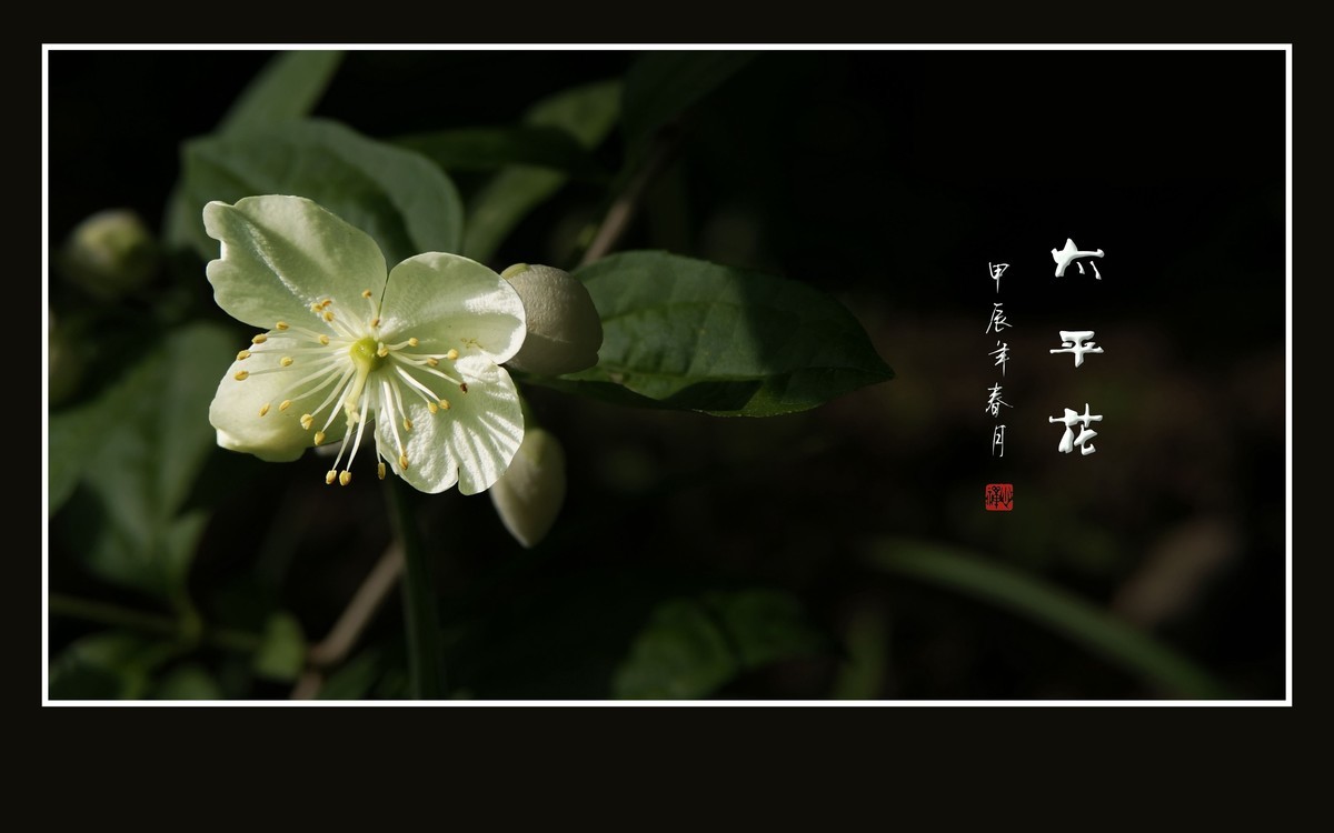 #版主坐堂#索尼大版星空(中国)2024年 4 月份优秀作品精选汇总