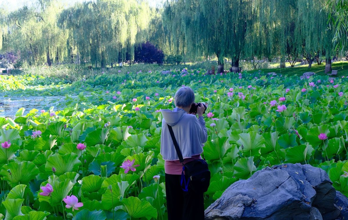 晨拍-龙潭湖公园