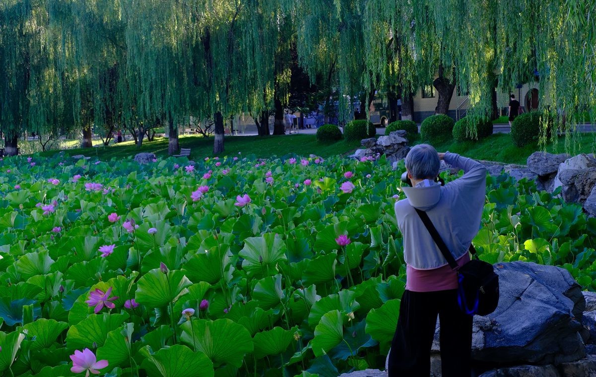 晨拍-龙潭湖公园
