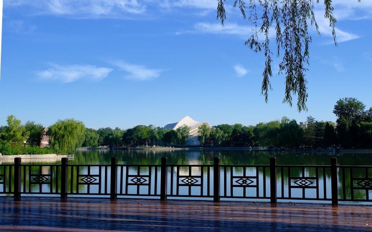 晨拍-龙潭湖公园