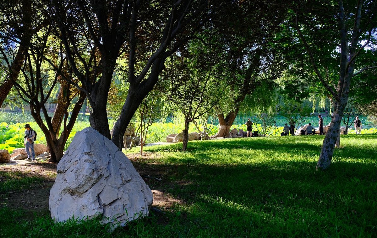 晨拍-龙潭湖公园