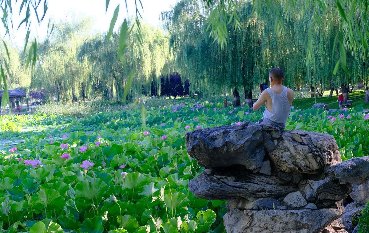 晨拍-龙潭湖公园