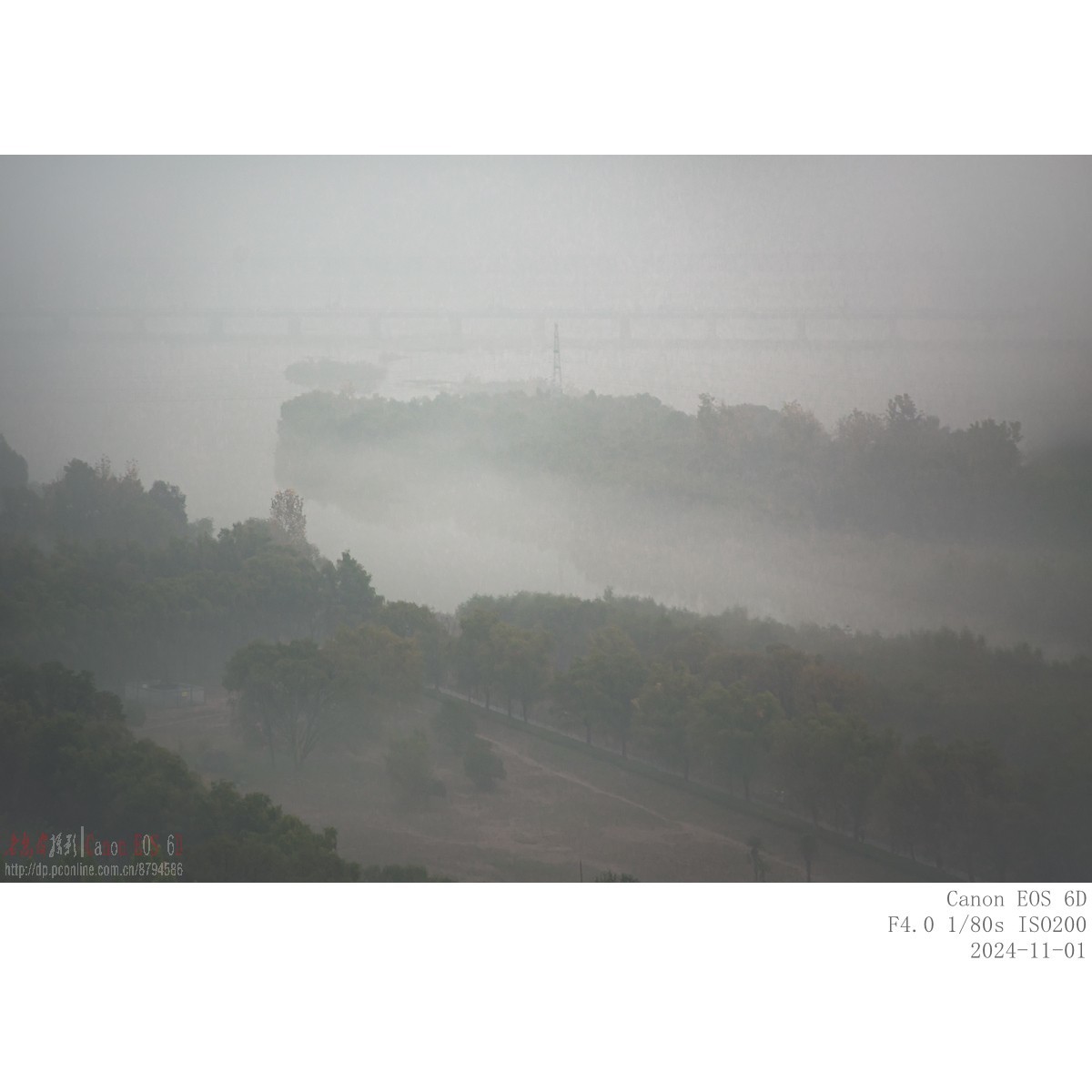 晨雾（11月1日）