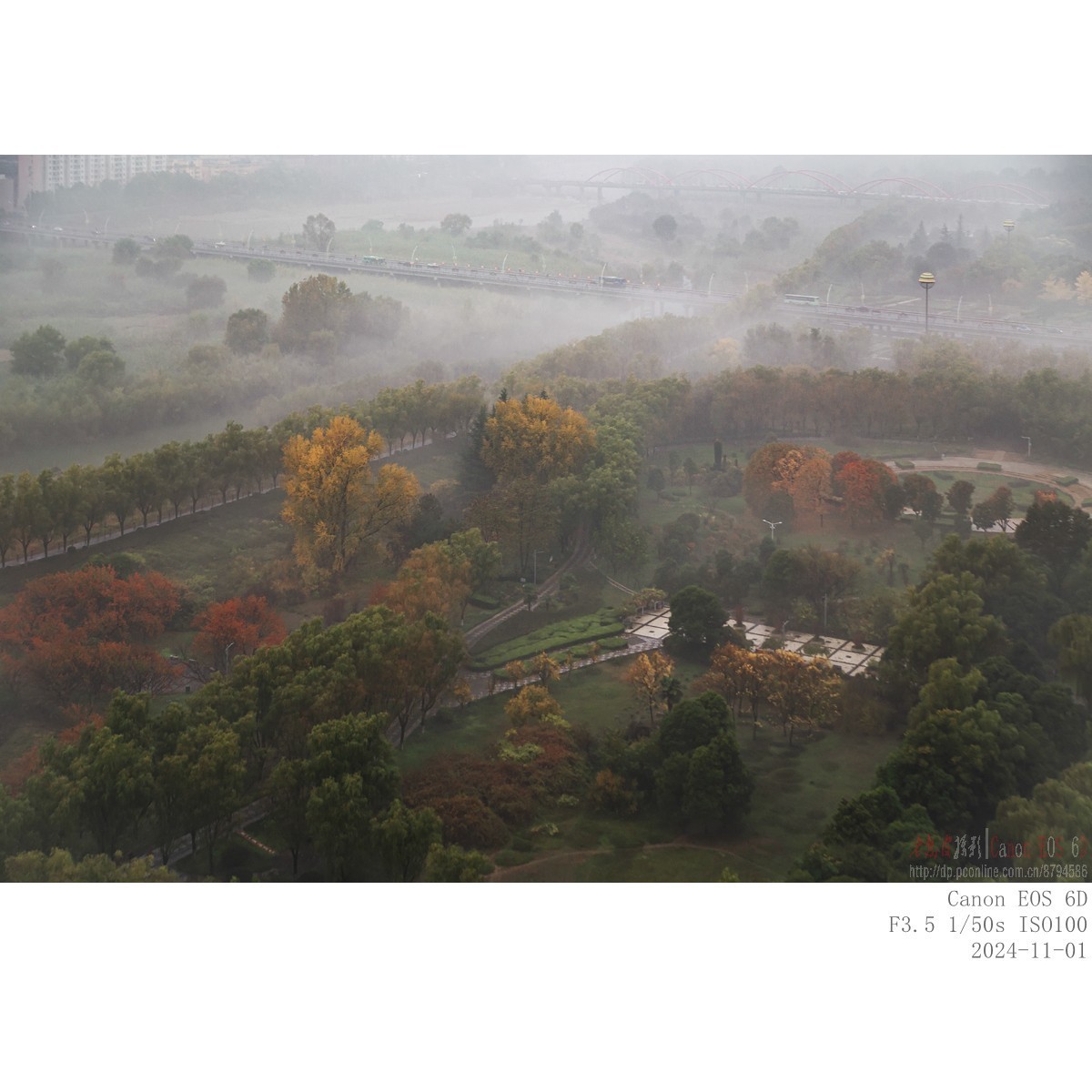 晨雾（11月1日）
