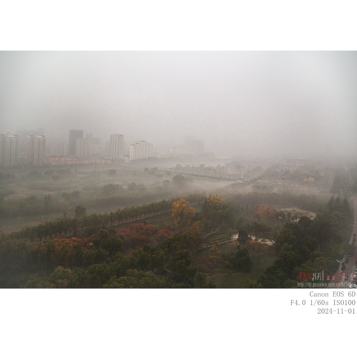 晨雾（11月1日）