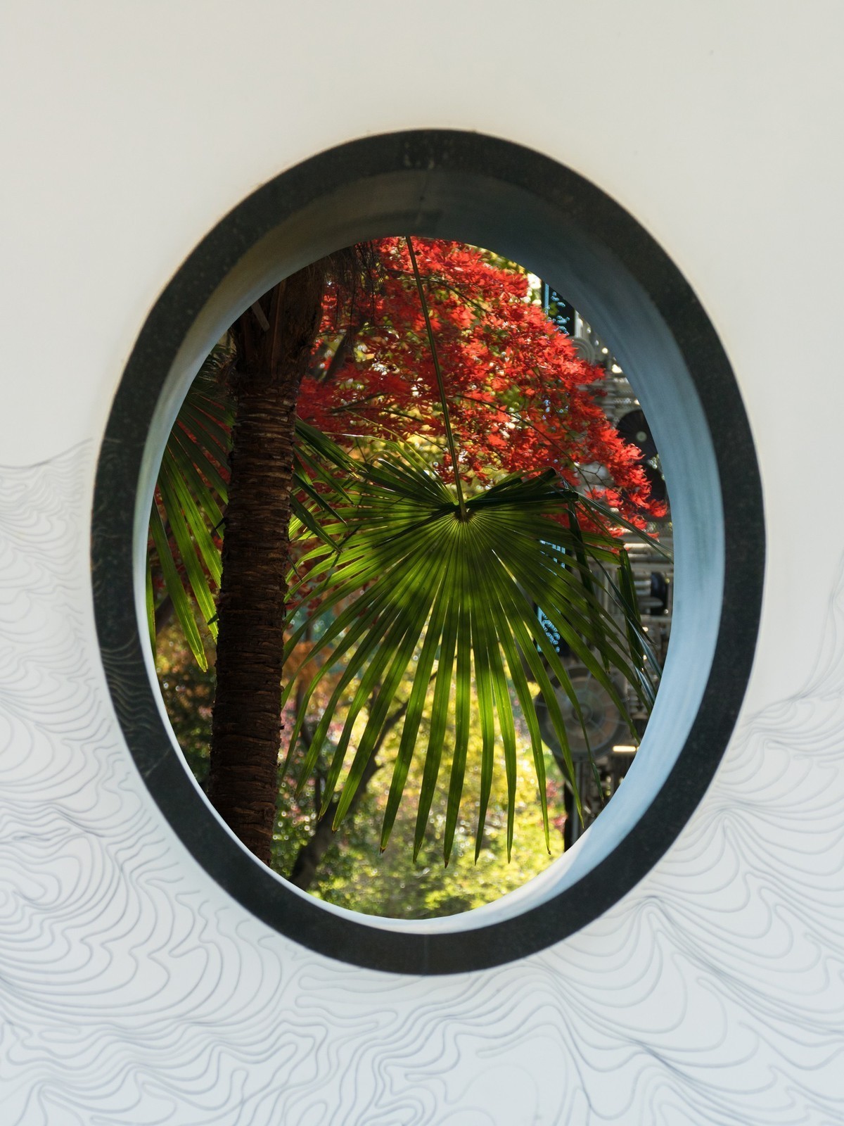 #版主坐堂#索尼大版星空(中国)2025年 1 月份优秀作品精选汇总