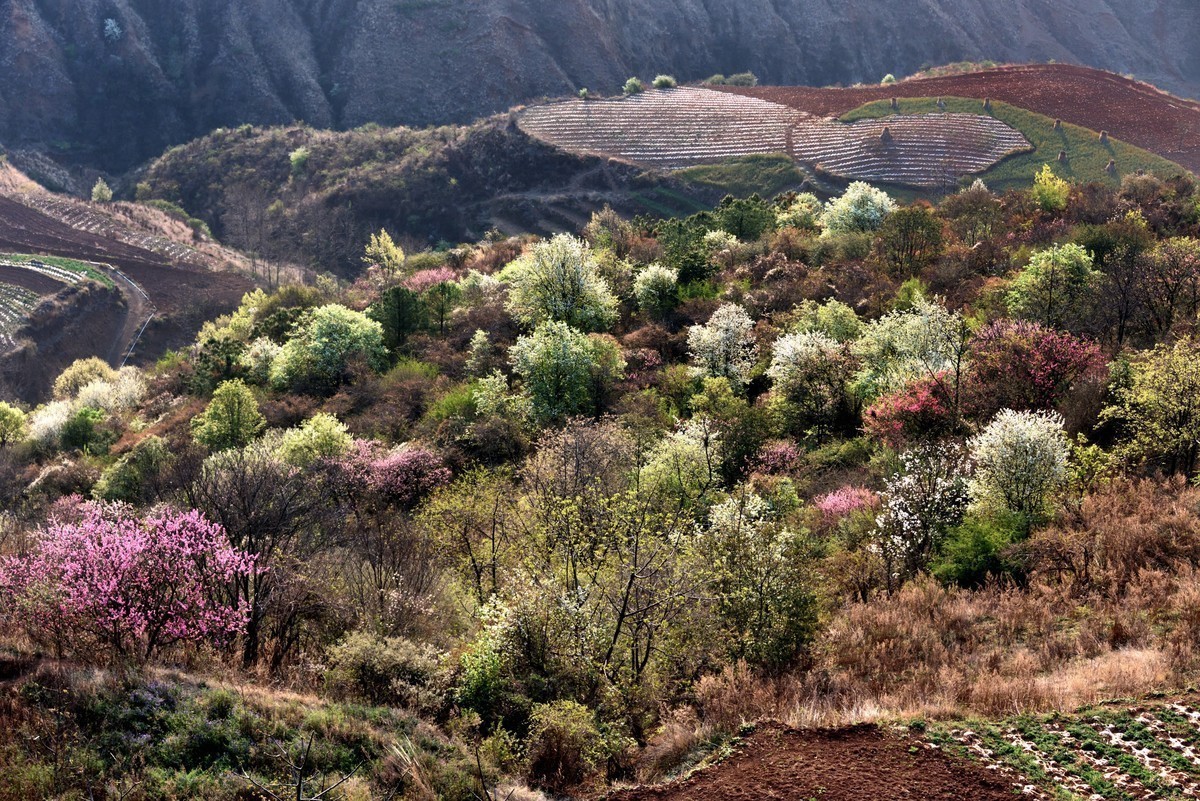 #版主坐堂#索尼大版星空(中国)2025年 1 月份优秀作品精选汇总
