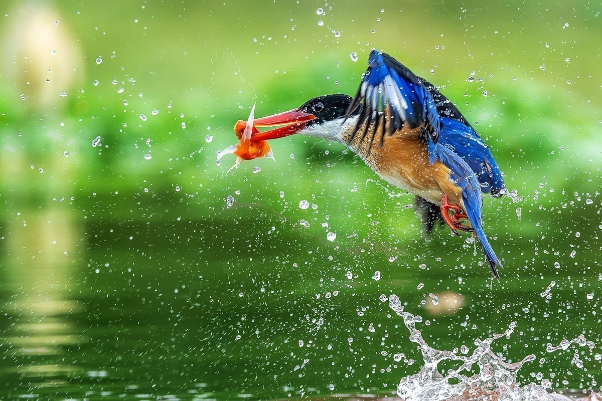 #版主坐堂#索尼大版星空(中国)2025年 1 月份优秀作品精选汇总