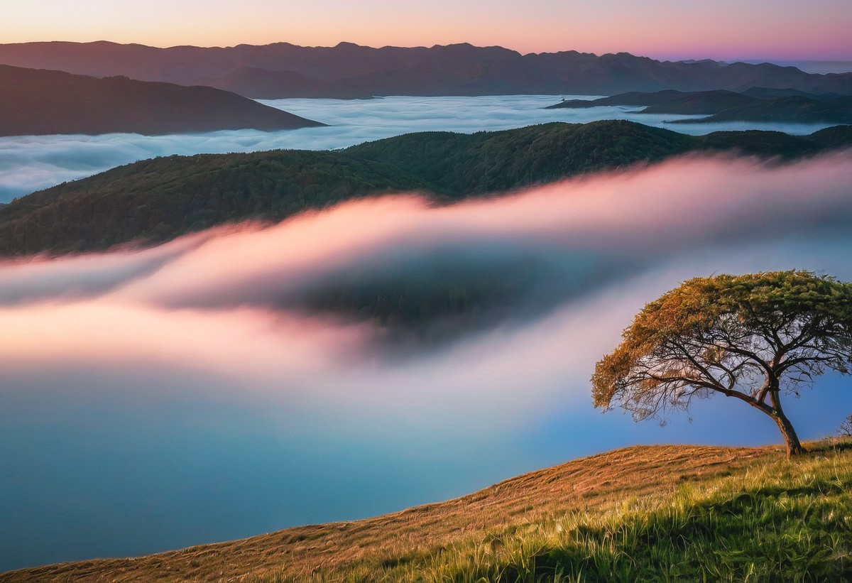 心灵之旅的壮丽启程