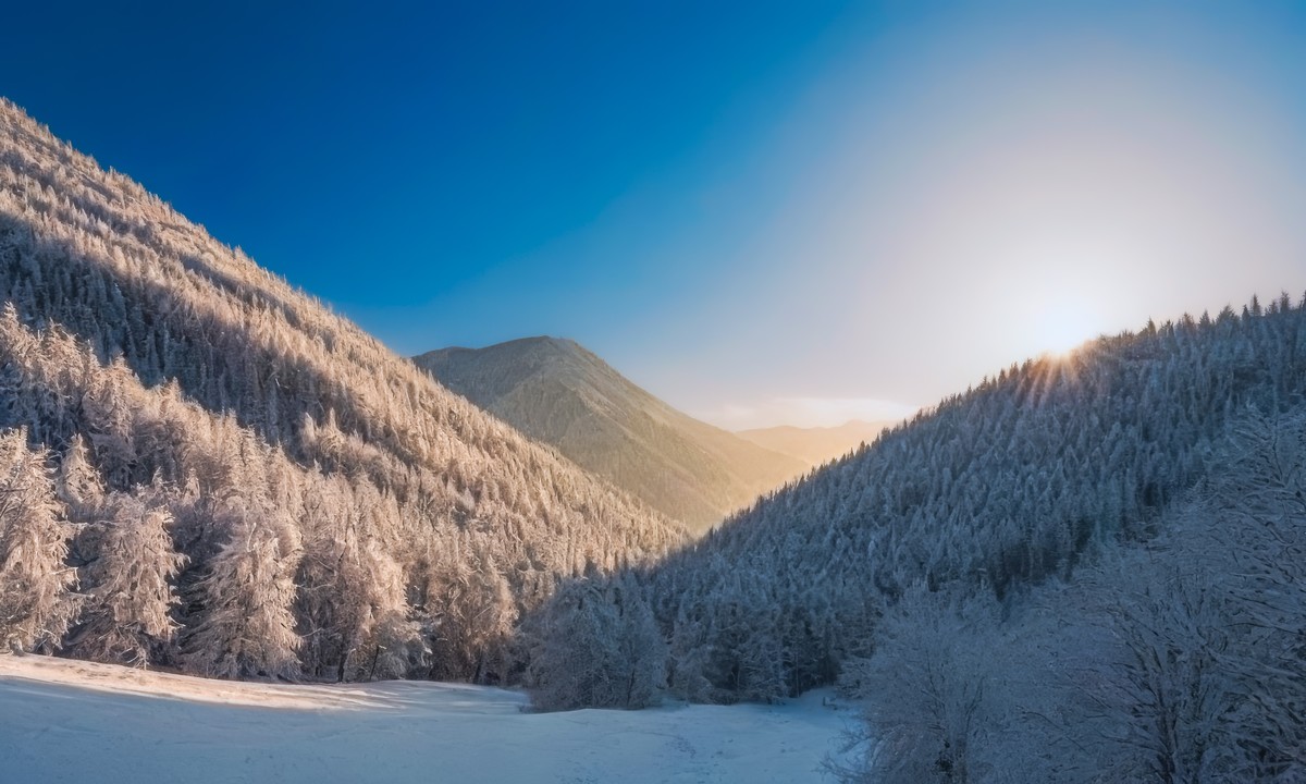 心灵之旅的壮丽启程