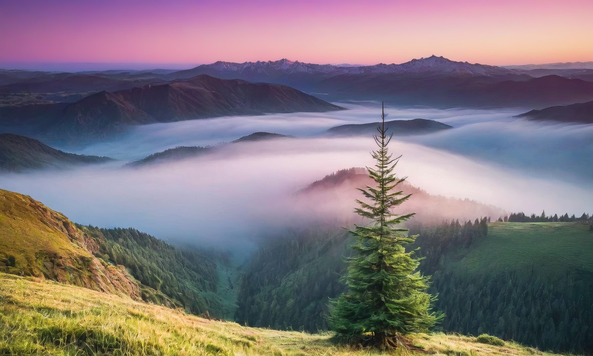 心灵之旅的壮丽启程