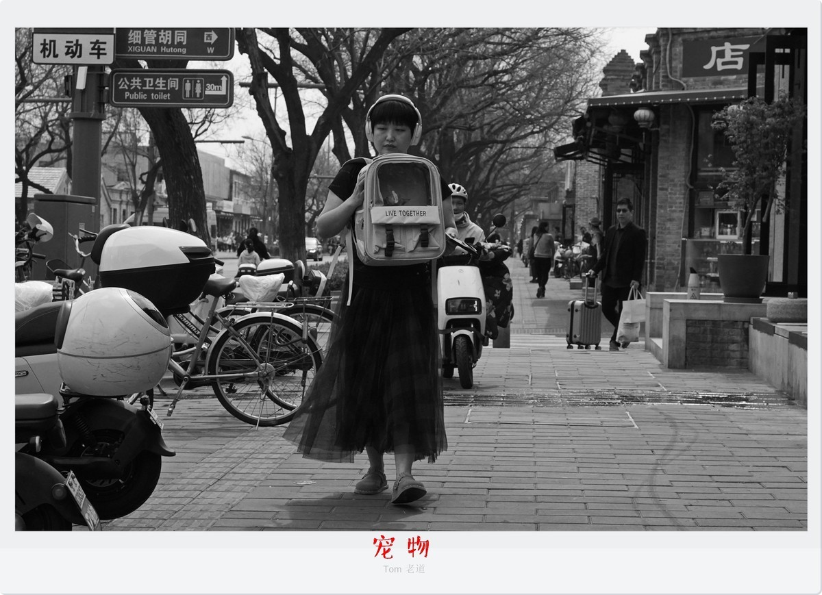 生动而真实的瞬间！