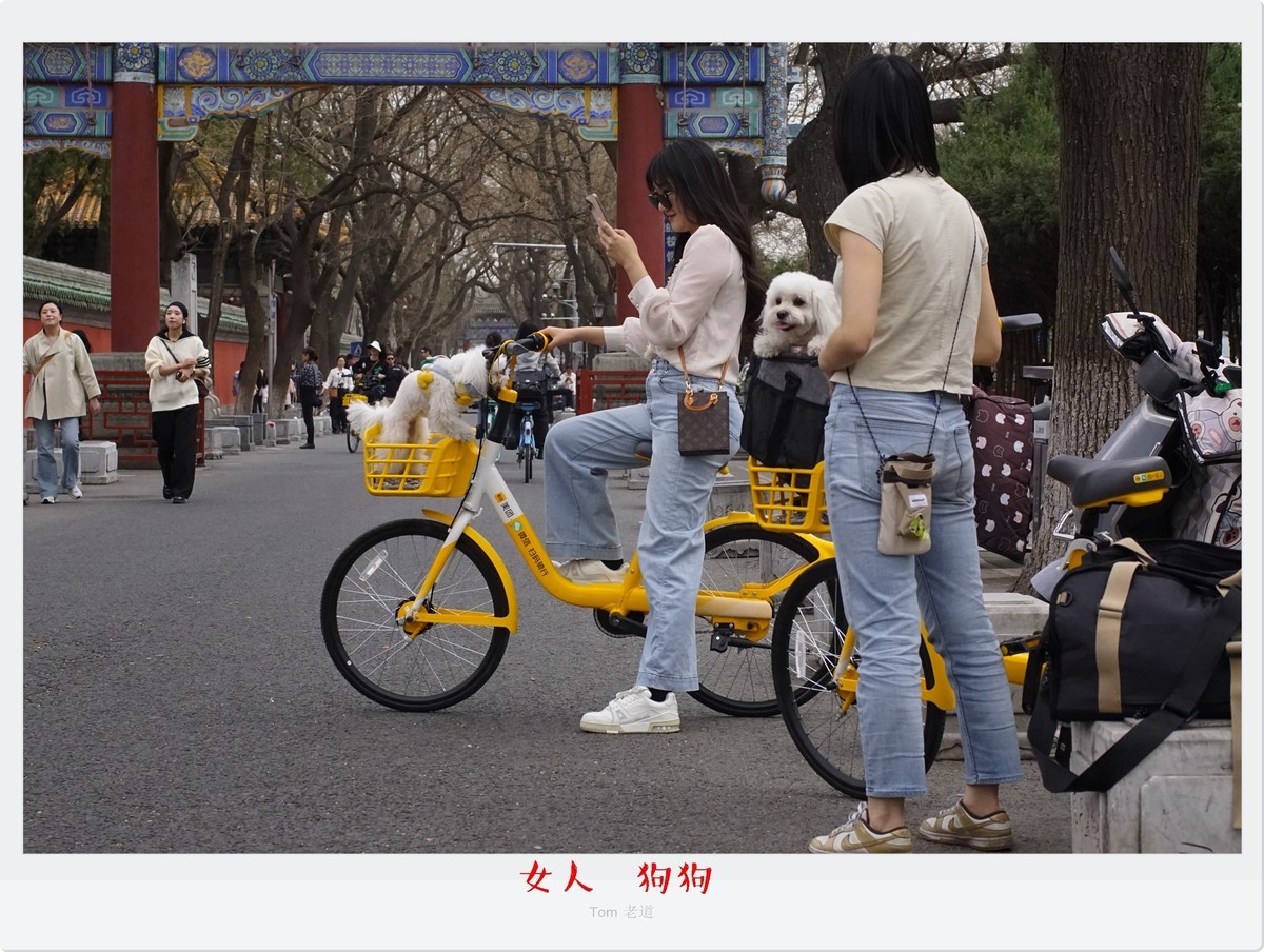 生动而真实的瞬间！