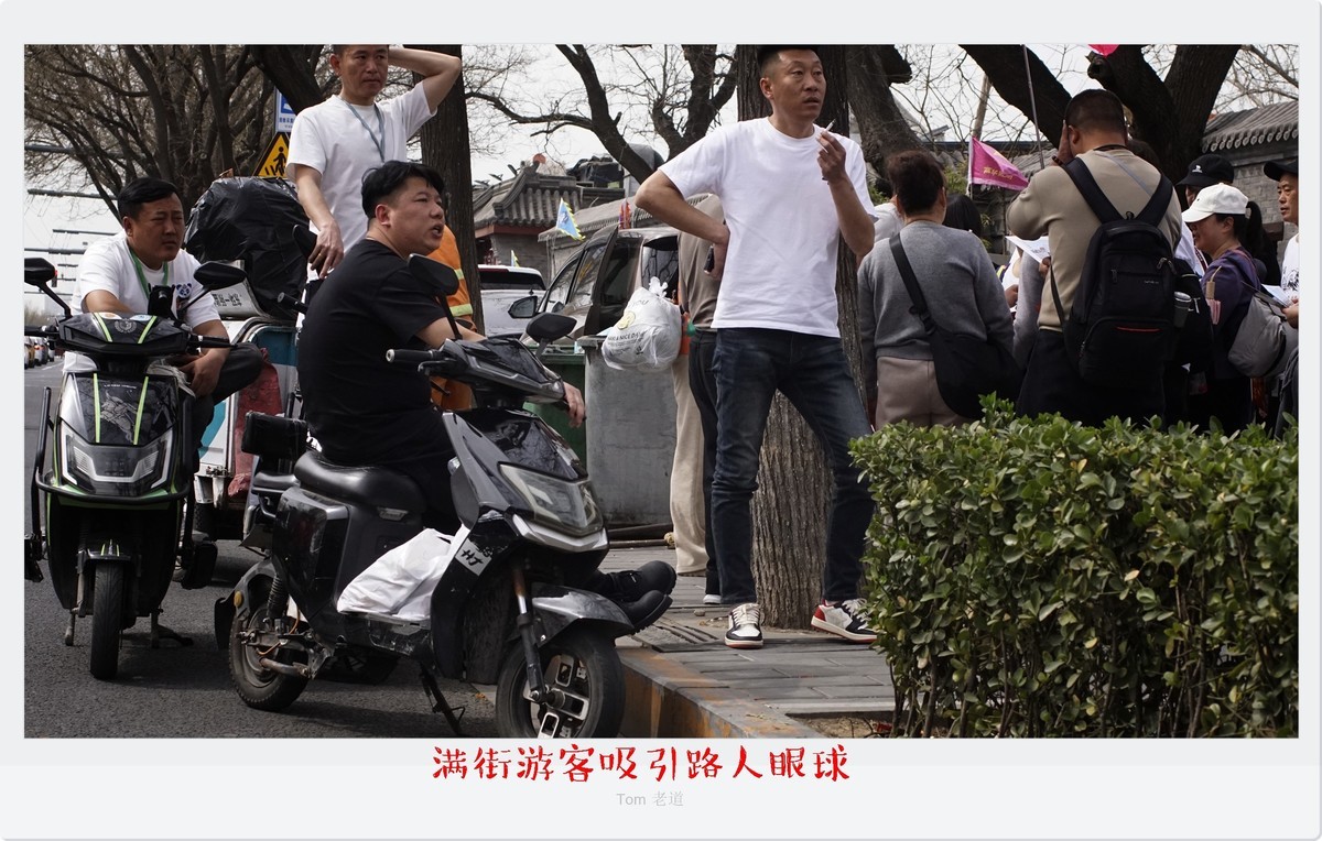 生动而真实的瞬间！