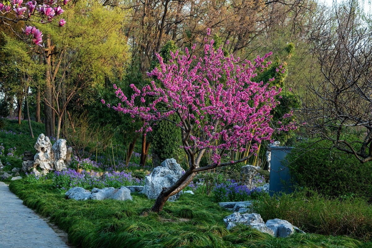 江南行—扬州瘦西湖—(32)—(14)