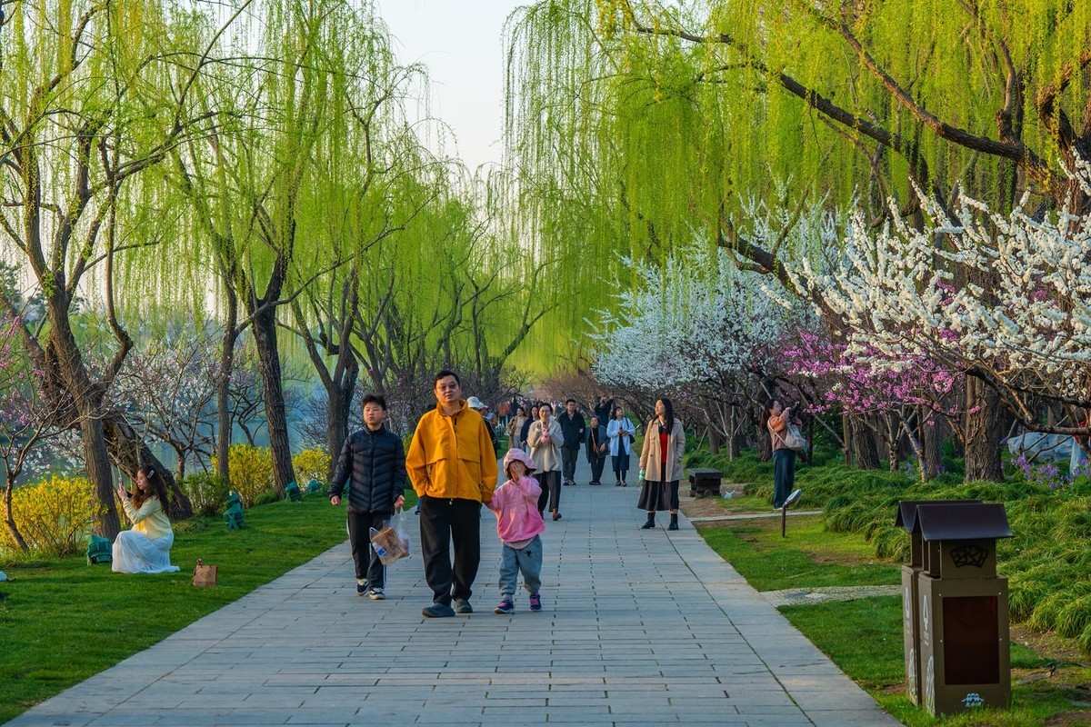 江南行—扬州瘦西湖—(32)—(14)