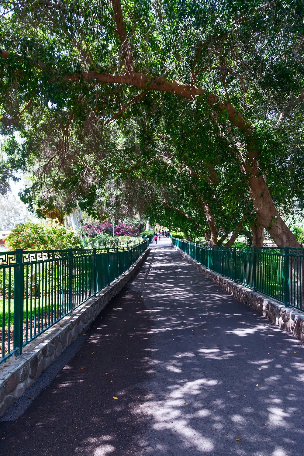 海外风情 ：以色列 · 迦百农 · 八福教堂