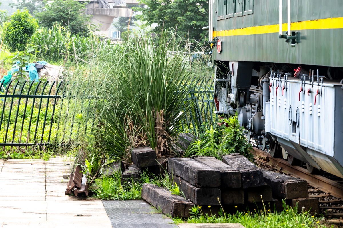 庐州印象（478）新站区铁路生态公园