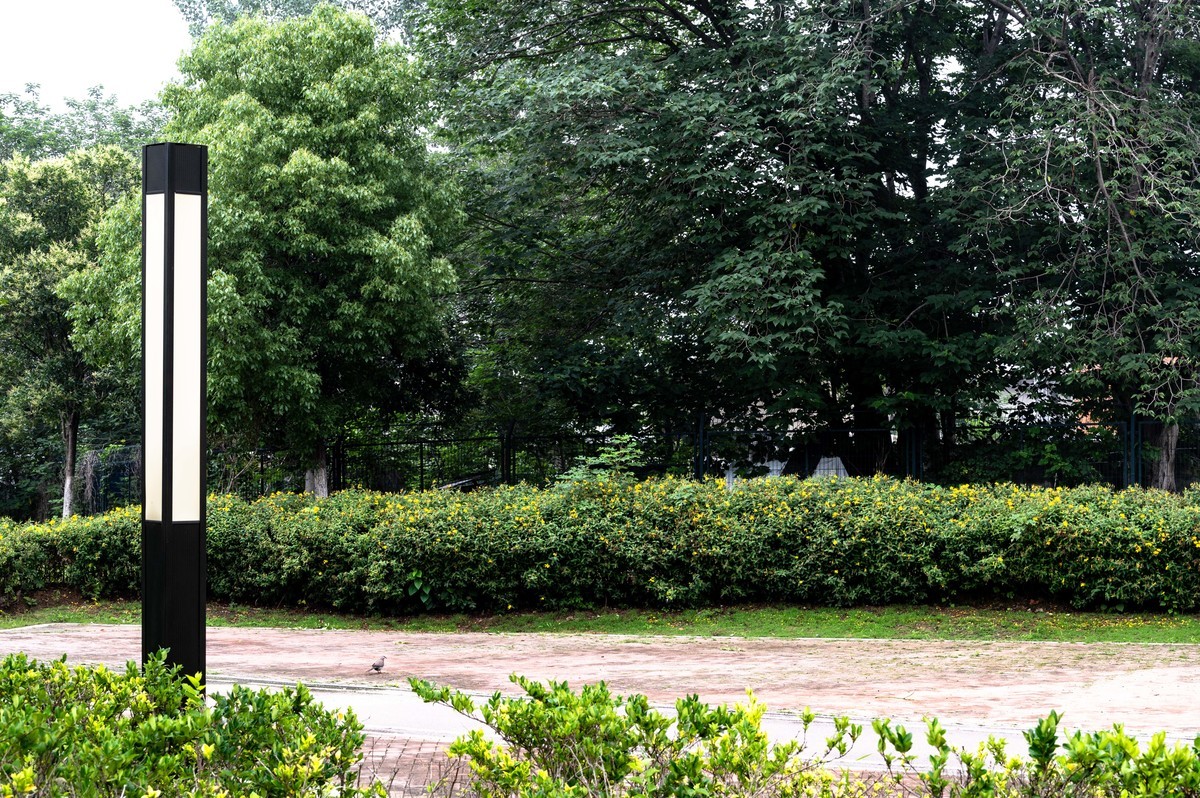 庐州印象（478）新站区铁路生态公园