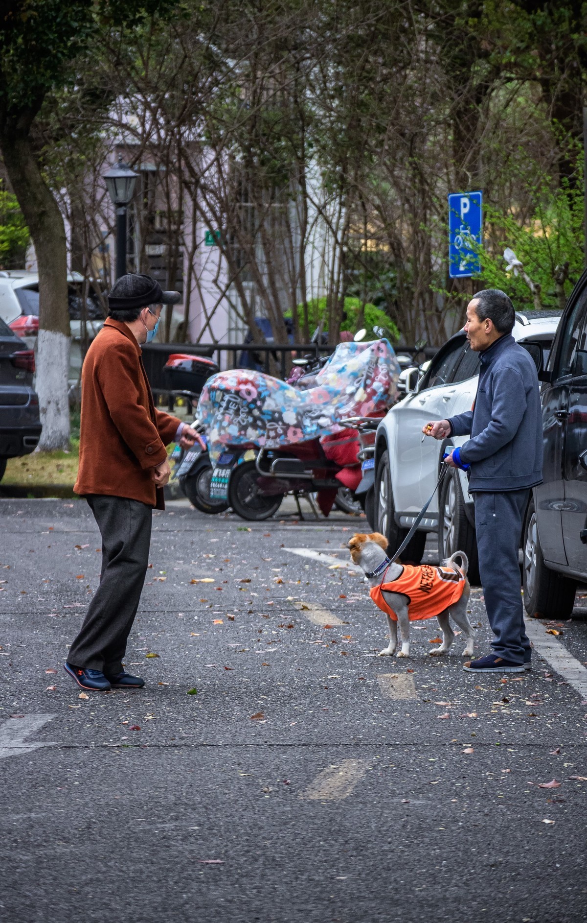 小区隔离时无聊随拍
