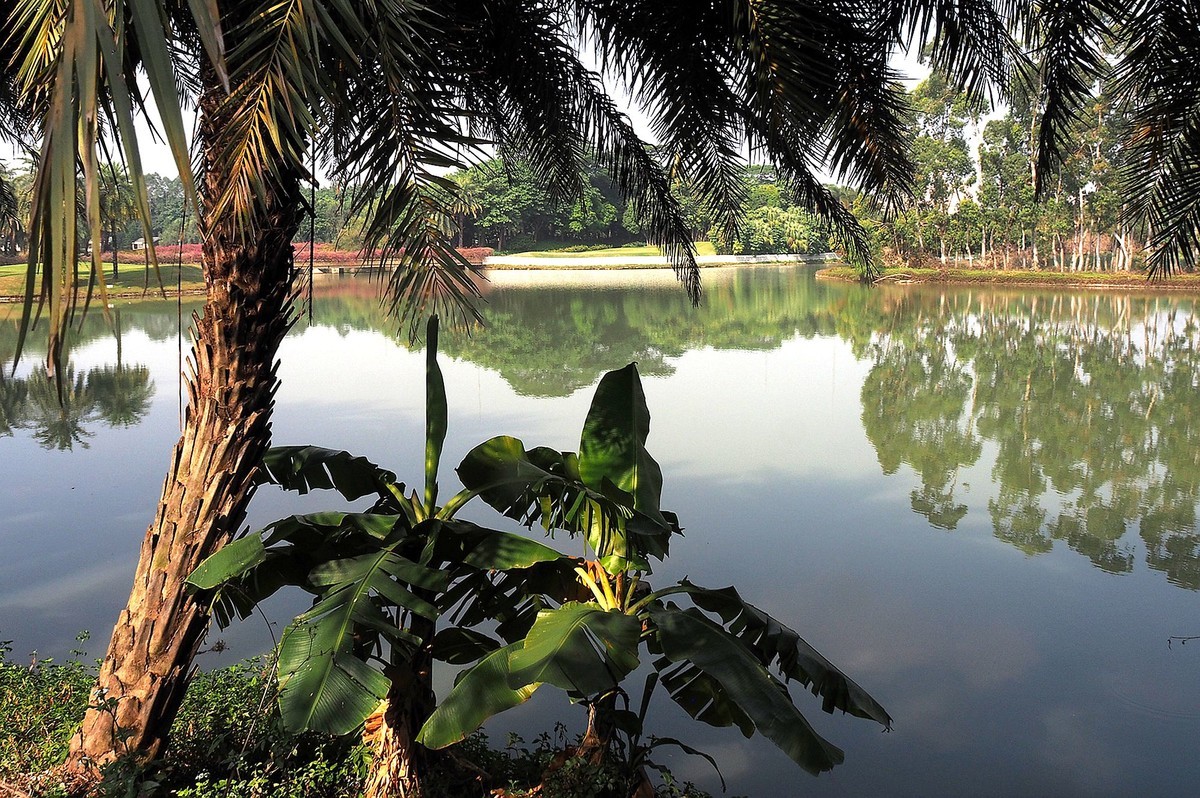 中山——三角镇：迪茵湖花园度假村（完）