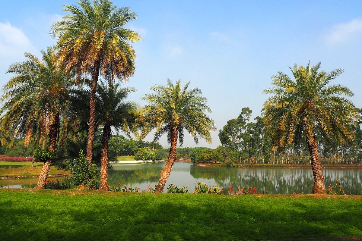 中山——三角镇：迪茵湖花园度假村（完）