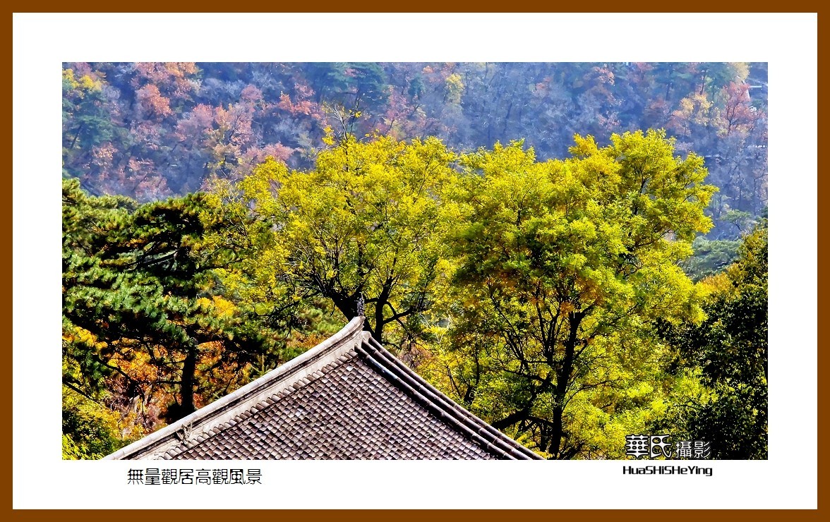 我爱家乡——无量观居高观风景（辽宁鞍山千山）