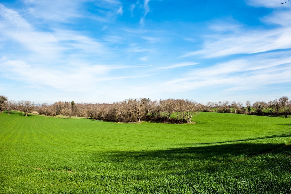 #版主坐堂#索尼大版星空(中国)2024年 4 月份优秀作品精选汇总