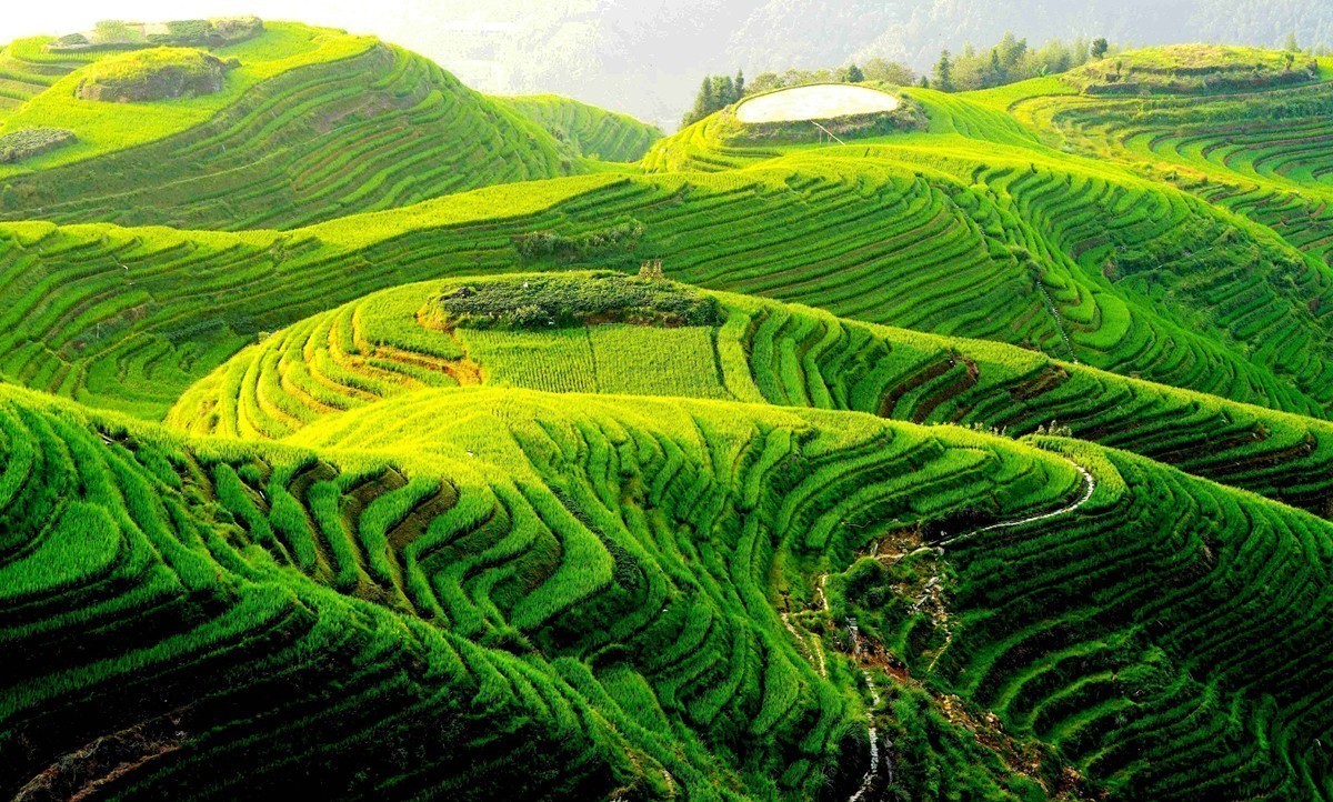 #版主坐堂#索尼大版星空(中国)2024年 4 月份优秀作品精选汇总