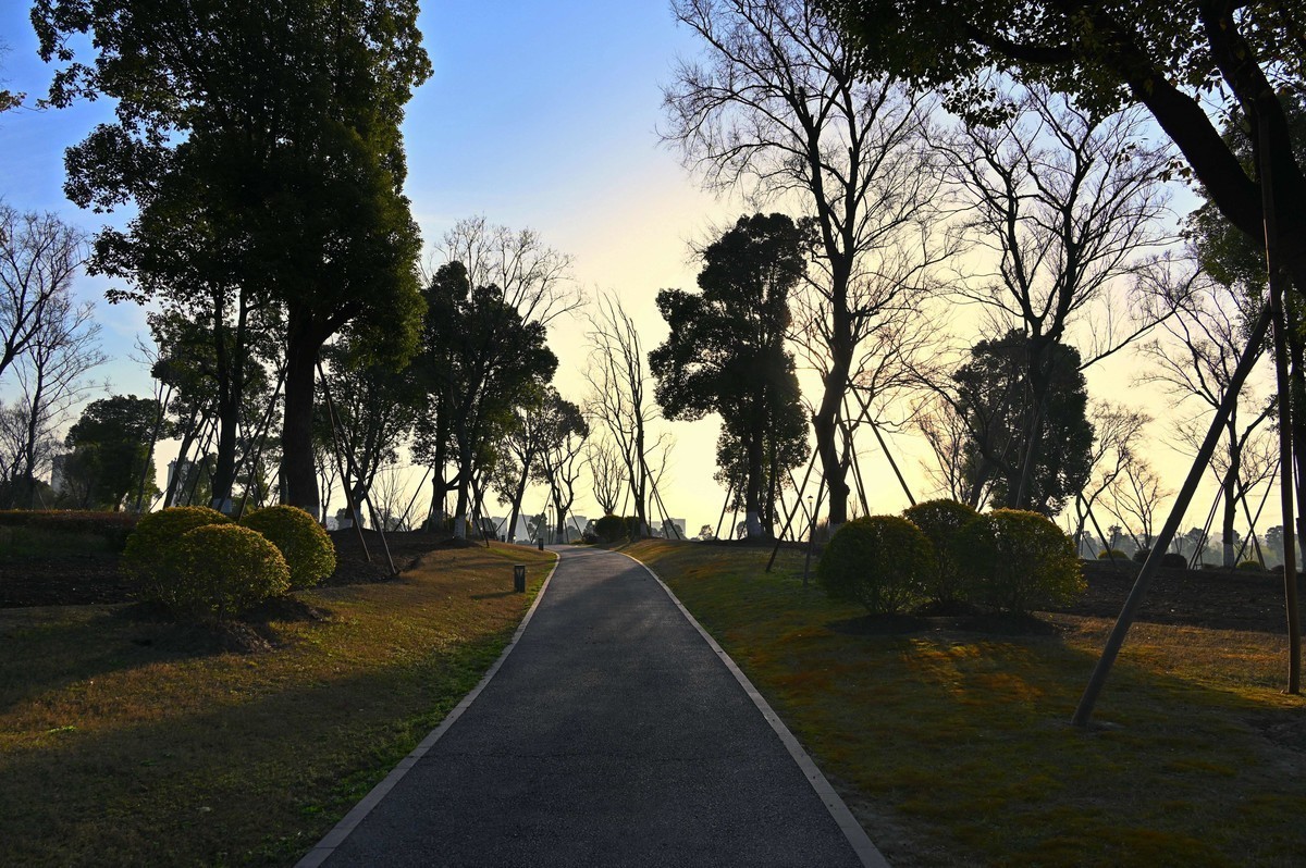 #版主坐堂#索尼大版星空(中国)2024年 4 月份优秀作品精选汇总