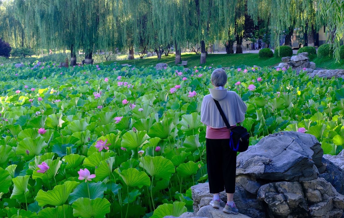 晨拍-龙潭湖公园