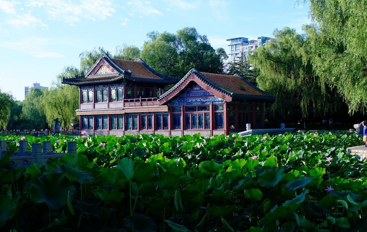 晨拍-龙潭湖公园