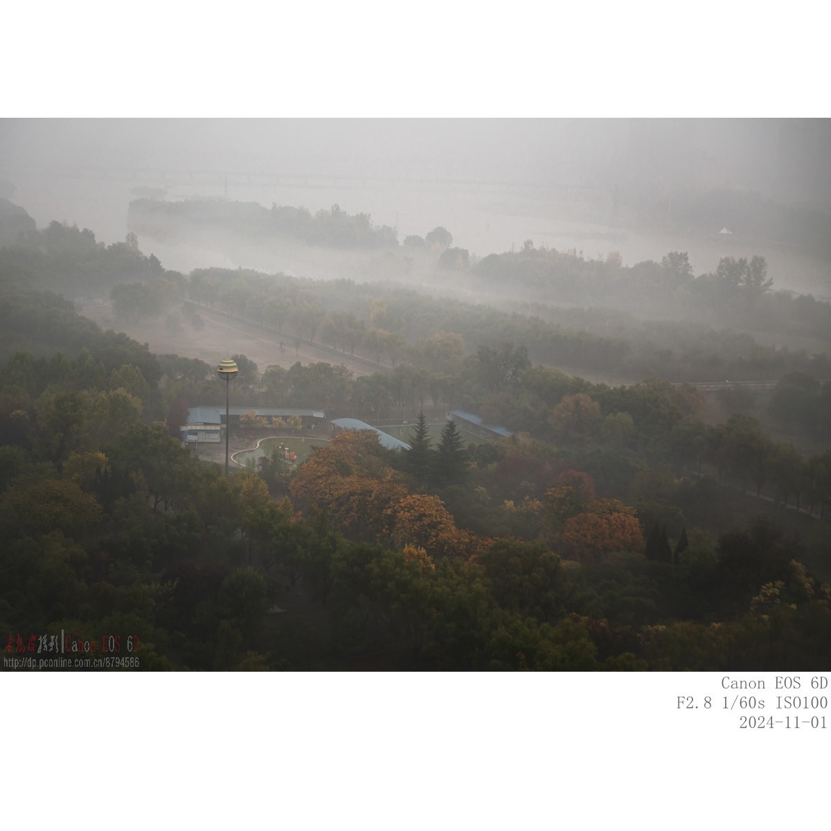 晨雾（11月1日）
