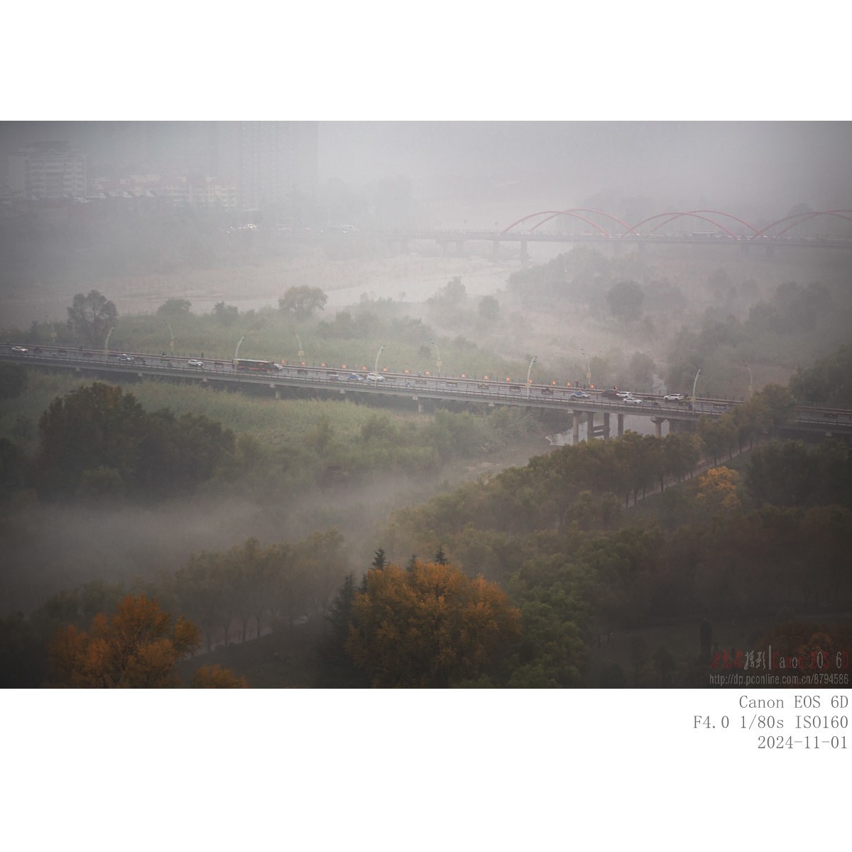 晨雾（11月1日）