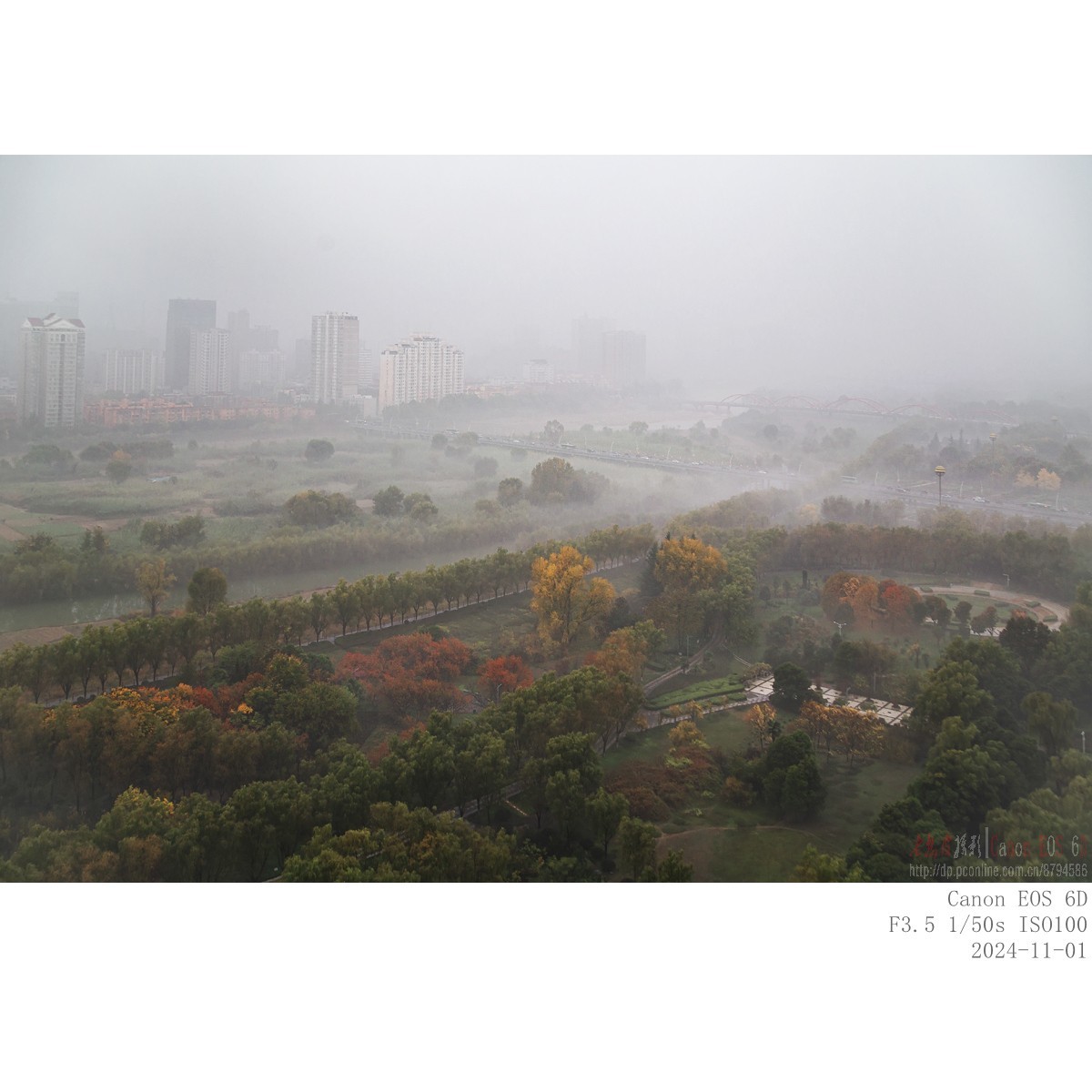 晨雾（11月1日）